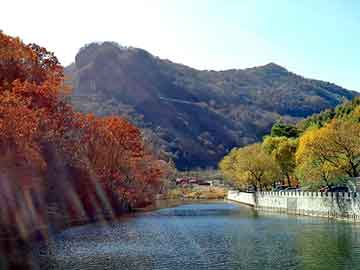 新澳天天开奖资料大全旅游团，陆地巡洋舰论坛